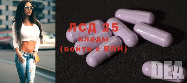 гидра Богданович
