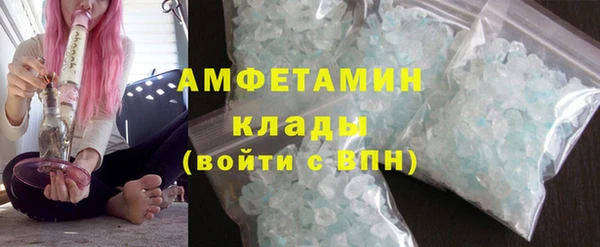 гидра Богданович