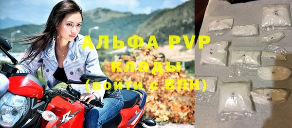 гидра Богданович