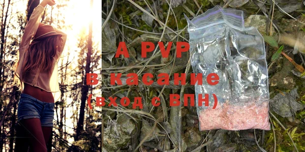 гидра Богданович