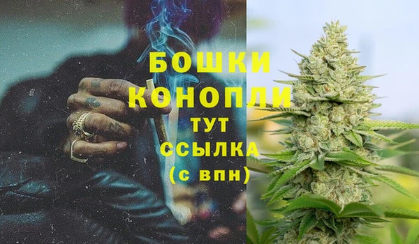 гидра Богданович