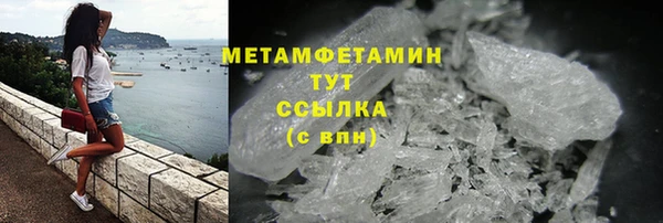 гидра Богданович